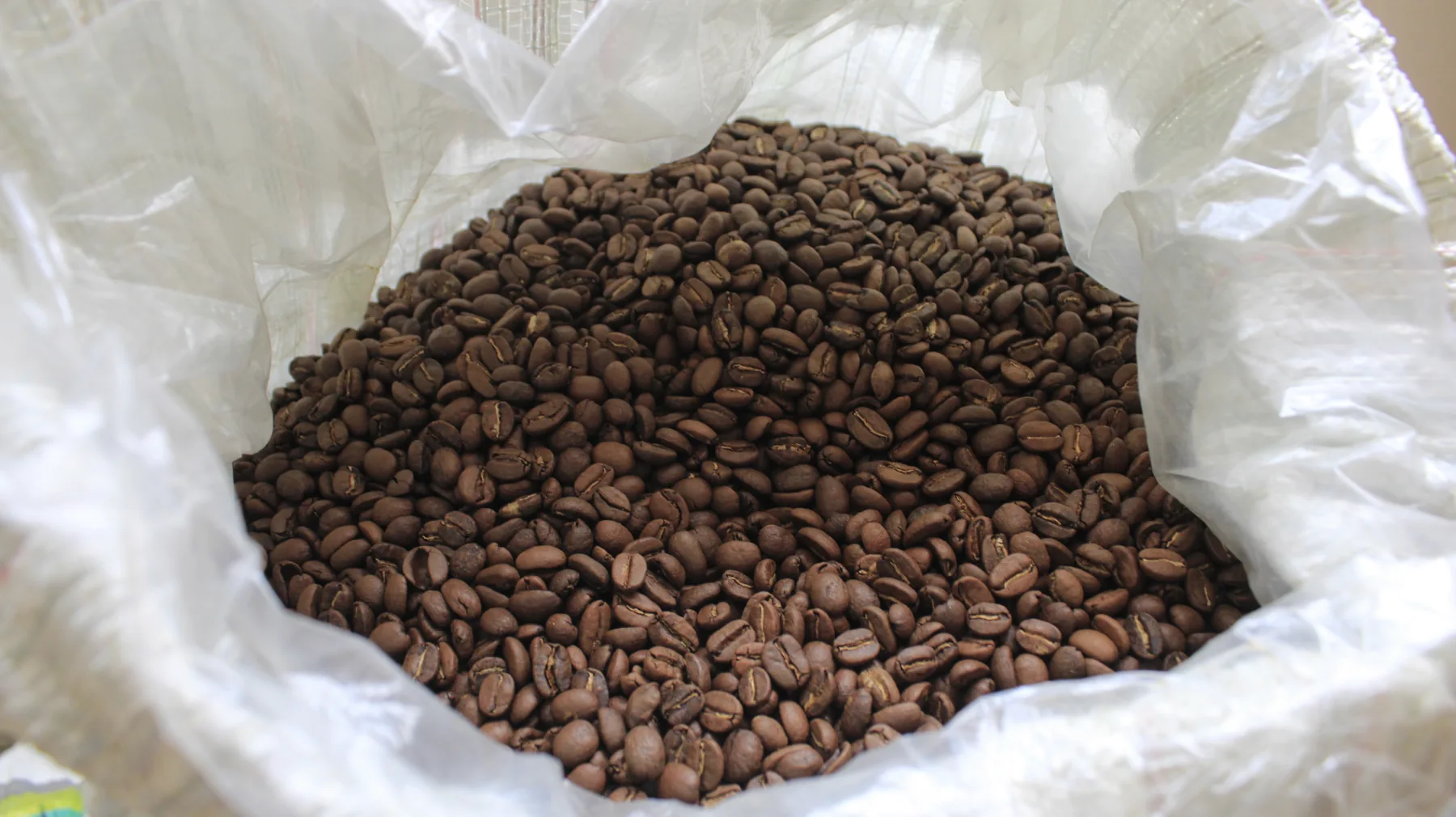 PUHUAC roasted coffee beans
